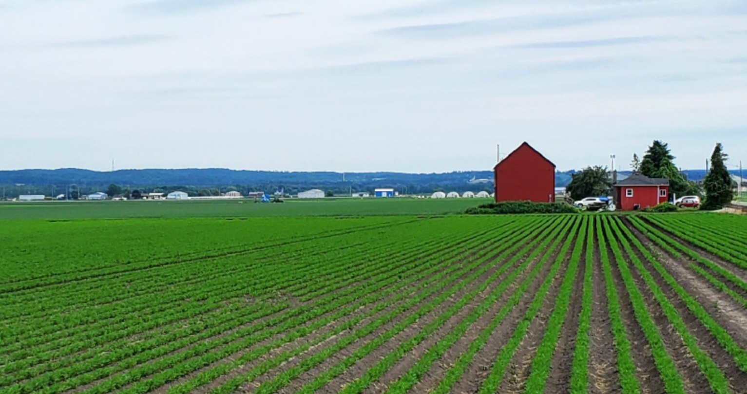 Farms in Canada: Path to Immigration and Work Permits