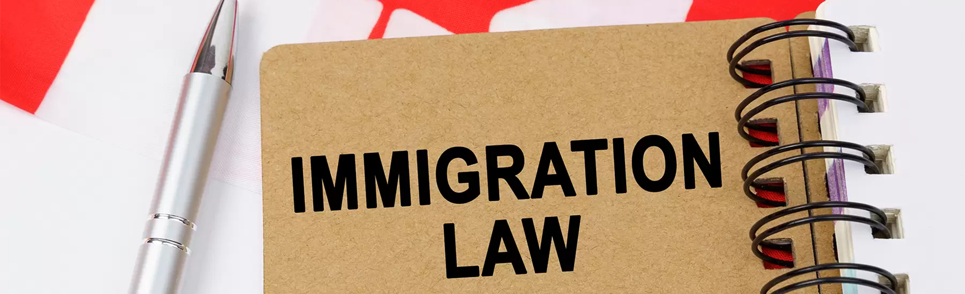 Immigration lawyer vs an immigration consultant to immigrate to Canada