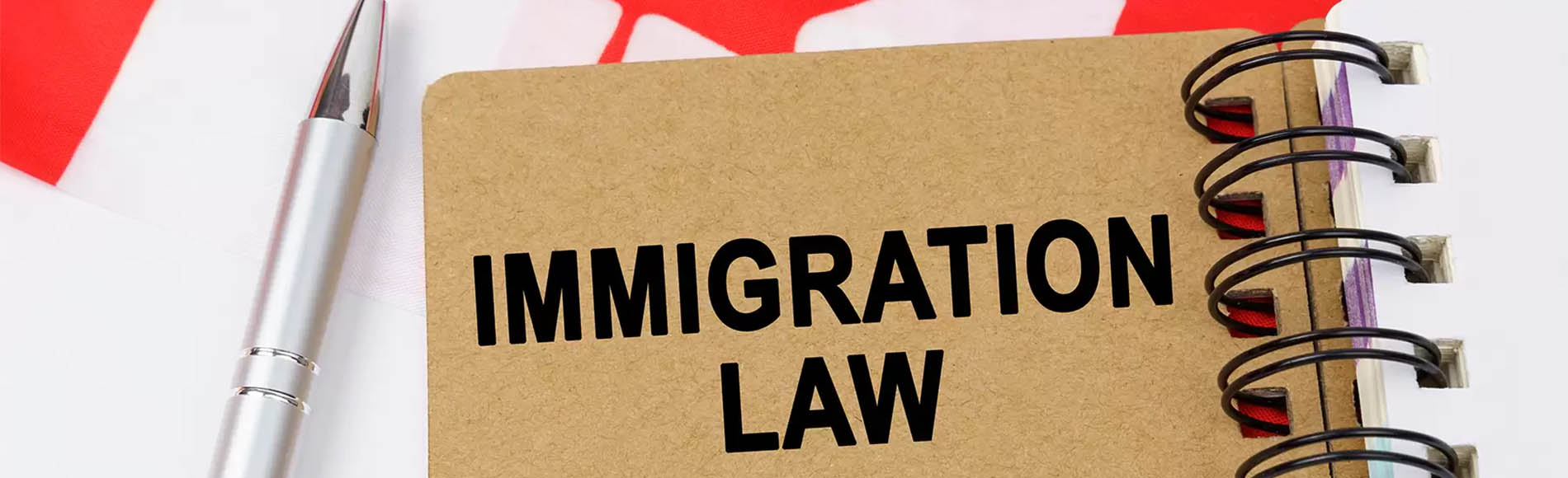 Immigration Lawyer vs Immigration Consultant in Canada